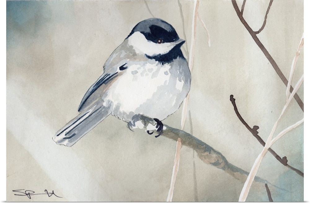 A small chickadee perched on a branch.