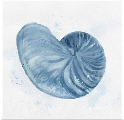 Nautilus In Blue