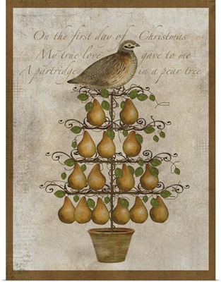 Partridge Pear Tree