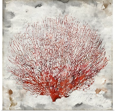 Red Coral I