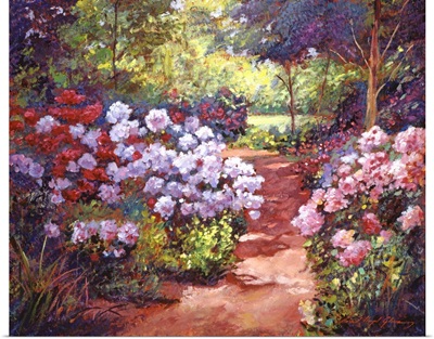 Rhododendron Stroll