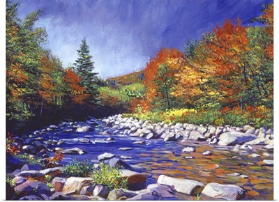 River of Autumn Colors