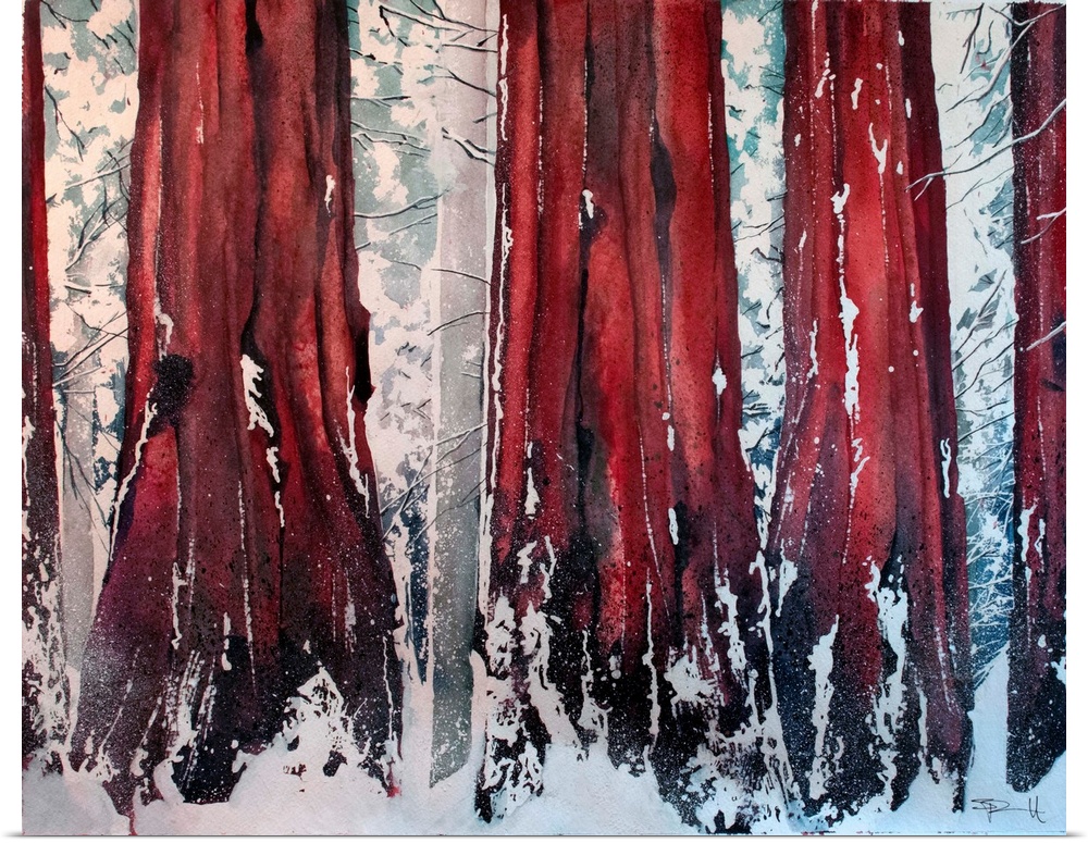Painting of a forest of tall sequoia trees in the winter.
