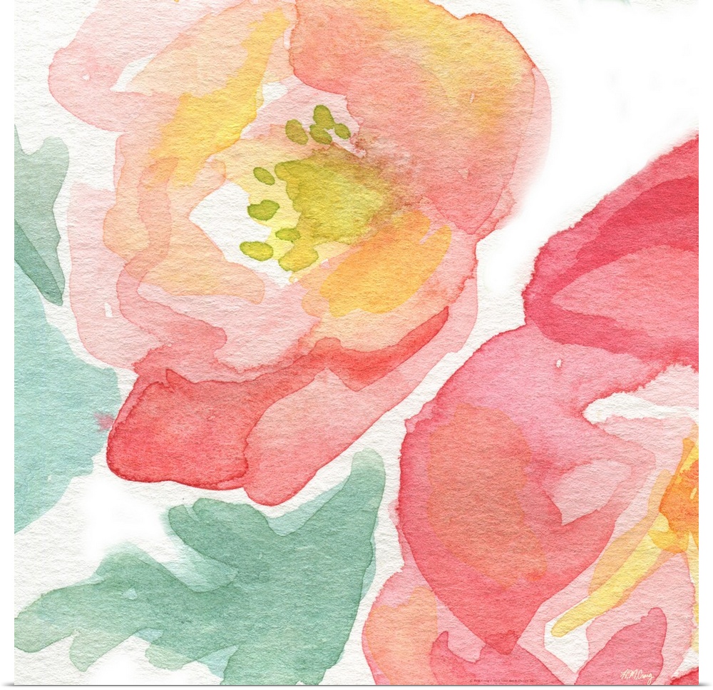 Watercolor flower with soft pink petals.