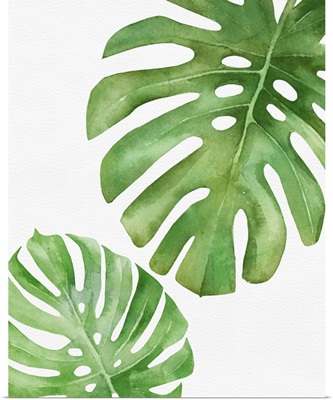 Tropical Leaf II
