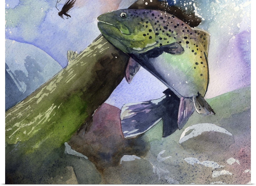 Painting of a rainbow trout underwater trying to catch a lure.