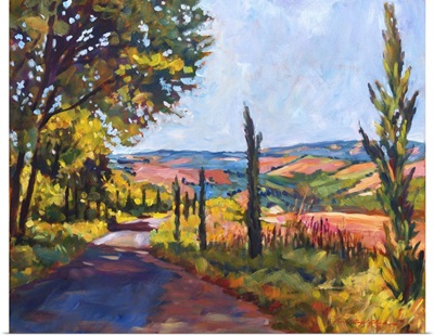 Tuscan Country Road