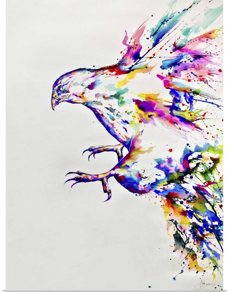 Watercolor and ink painting of a colorful bird in flight.