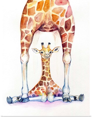 Gorgeous Giraffes