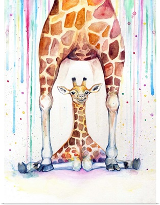 Gorgeous Giraffes - Rain