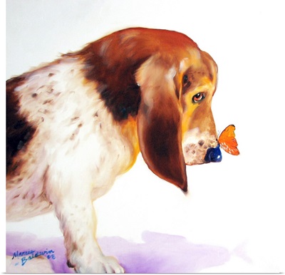 Basset and Butterfly