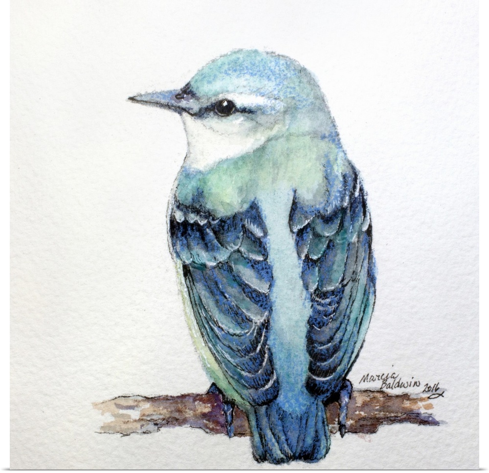 Square watercolor painting of a Nuthatch in shades of blue.