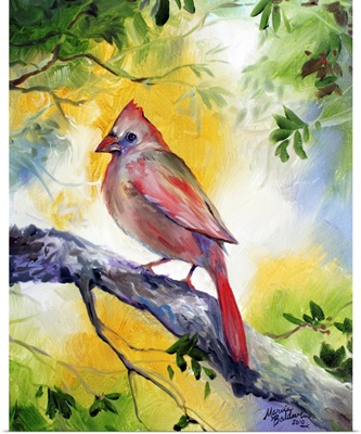 Female Cardinal 1814
