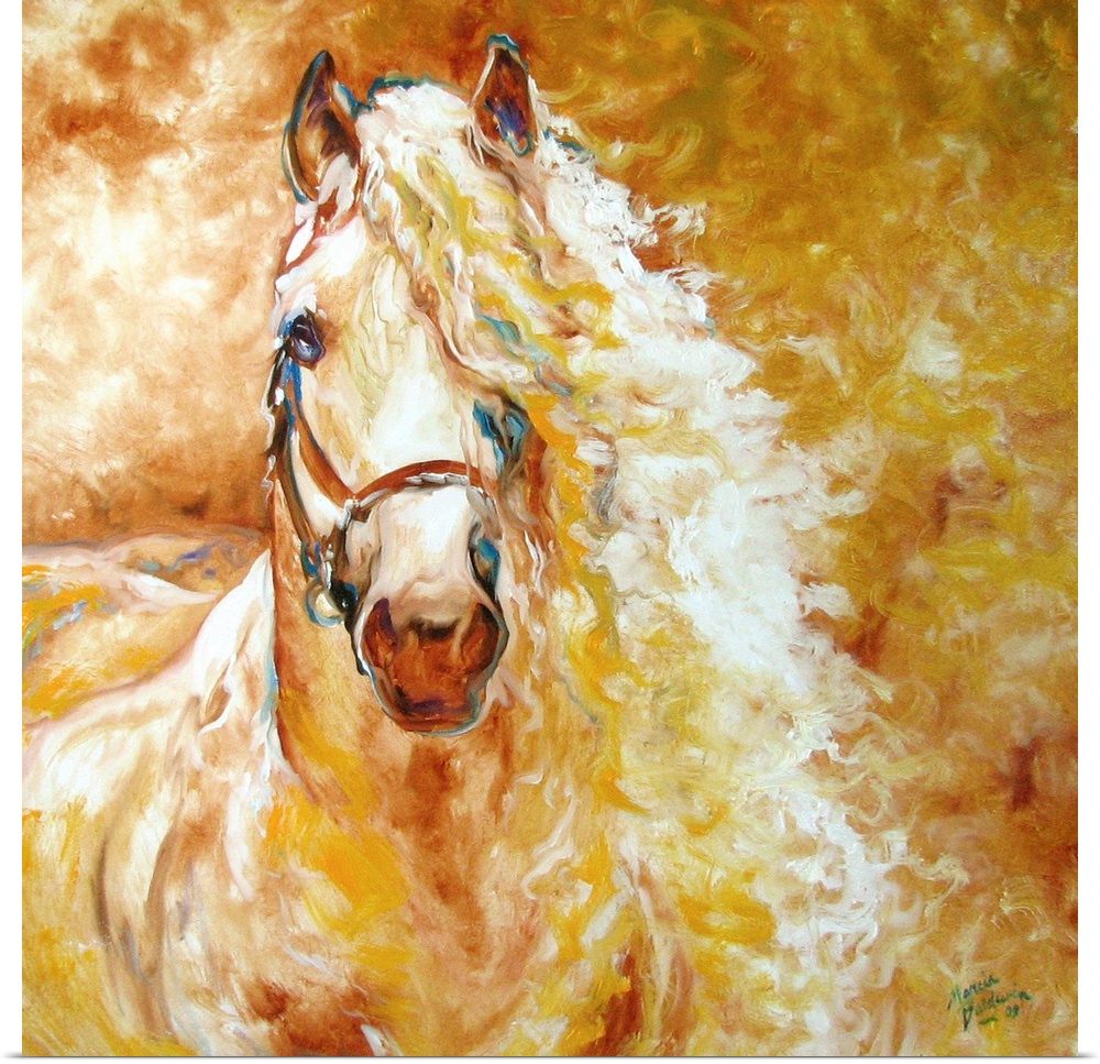 The beautiful equine breed, the Andalusian, captured in warm golden tones on a square canvas.