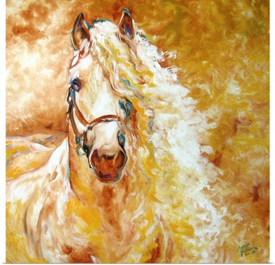 Golden Grace Andalusian