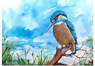 Kingfisher Watercolor
