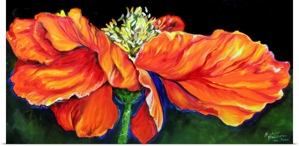 Panoramic painting of an orange, red, and yellow poppy flower on a green background.