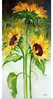 Triple Sunny Sunflowers