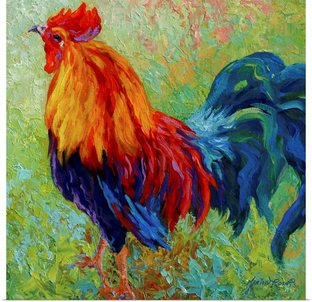 Huge contemporary art shows a lone male domestic fowl through an abundance of bright warm and cool tones.  The layered pai...