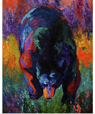 Grounded Black Bear