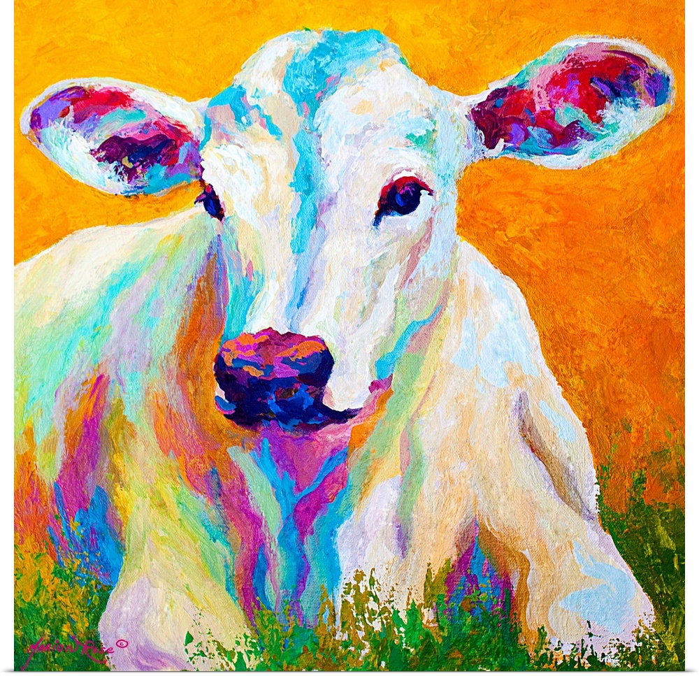 Vibrant colors are used to paint a portrait of a baby calf as it lays in the grass.