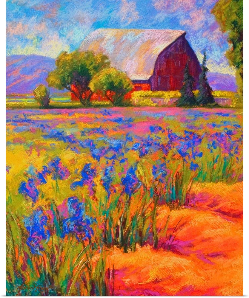 Portrait, oversized wall painting of a large field of Iris flowers, with a large barn surrounded by trees in the backgroun...