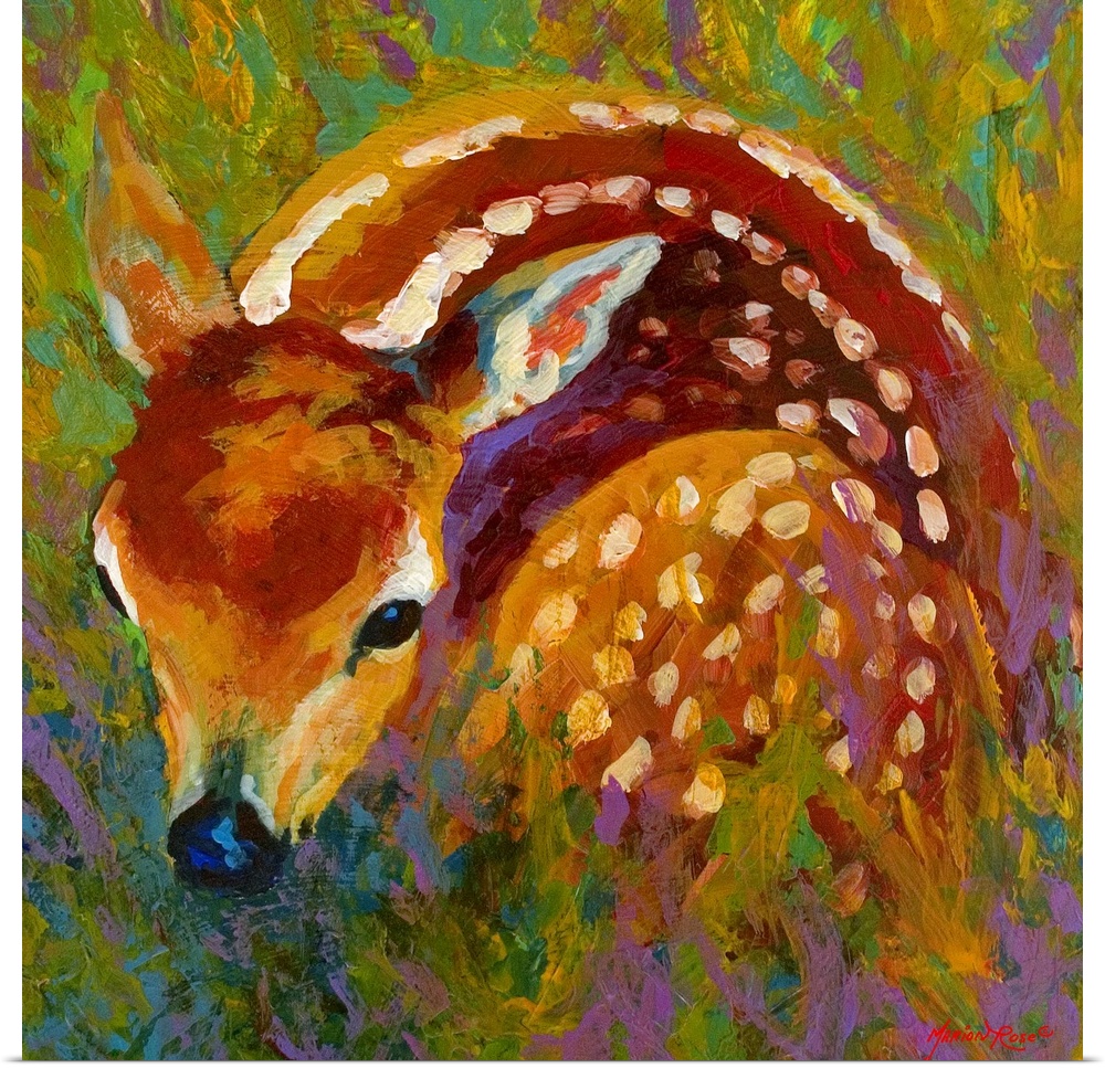 New Fawn
