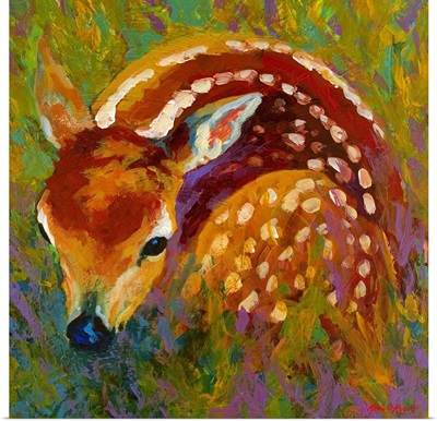 New Fawn