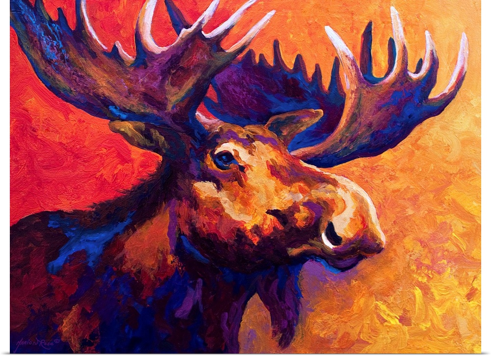Several colors are used to paint the upper body of a large moose that is surrounded by warm tones.
