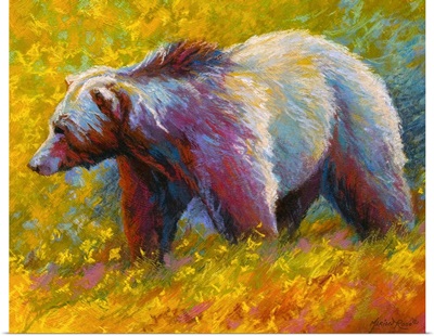 Pastel Grizzly