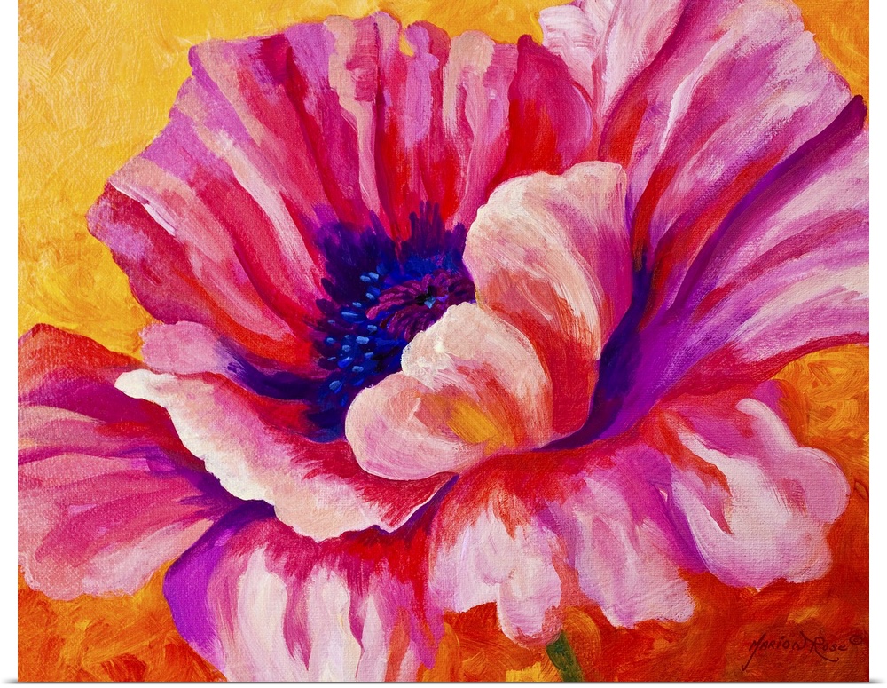 Contemporary floral painting of a giant blooming pink poppy flower on a bright, textured background.