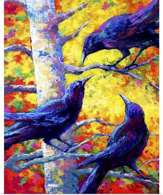 Poplar Crows