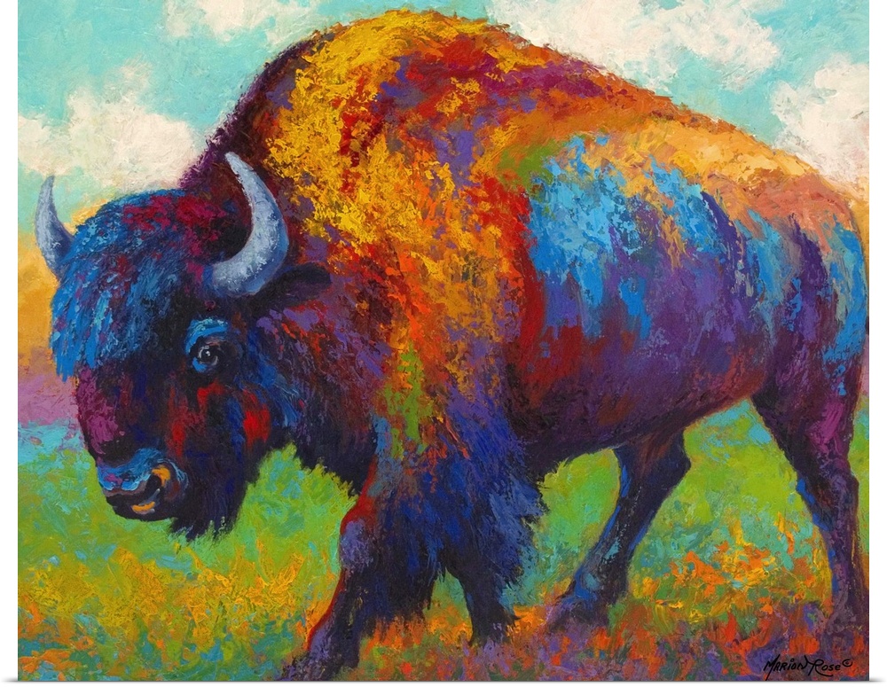 Prairie Muse Bison
