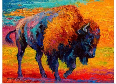 Spirit of Prairie Bison