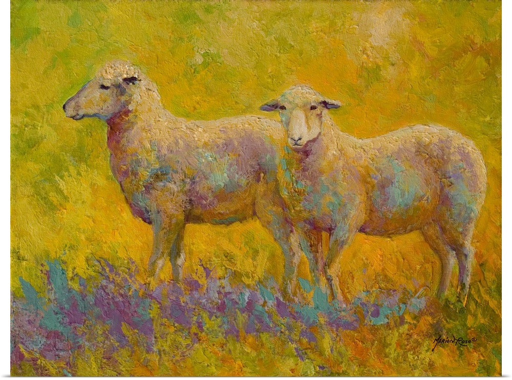 Warm Glow Sheep Pair