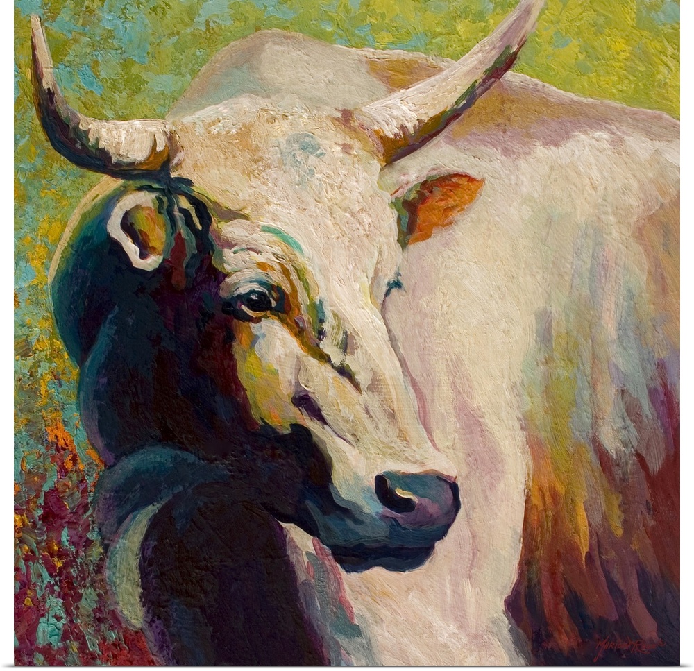 White Bull Portrait