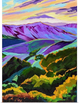 Purple Mountains Majesty