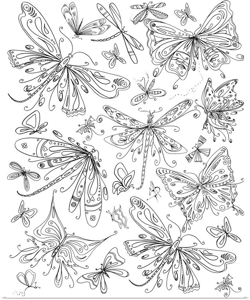 Black and white line art of an assortment of butterflies and dragonflies of different shapes and sizes.