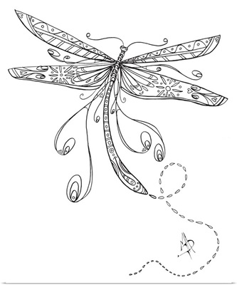 Dragonfly II