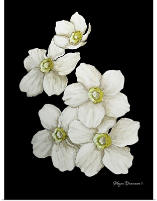 White Flower Set I