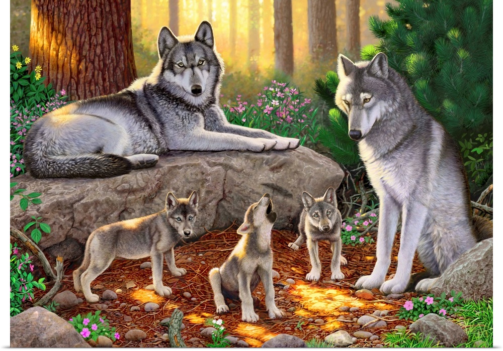 A Family Of Wolves I