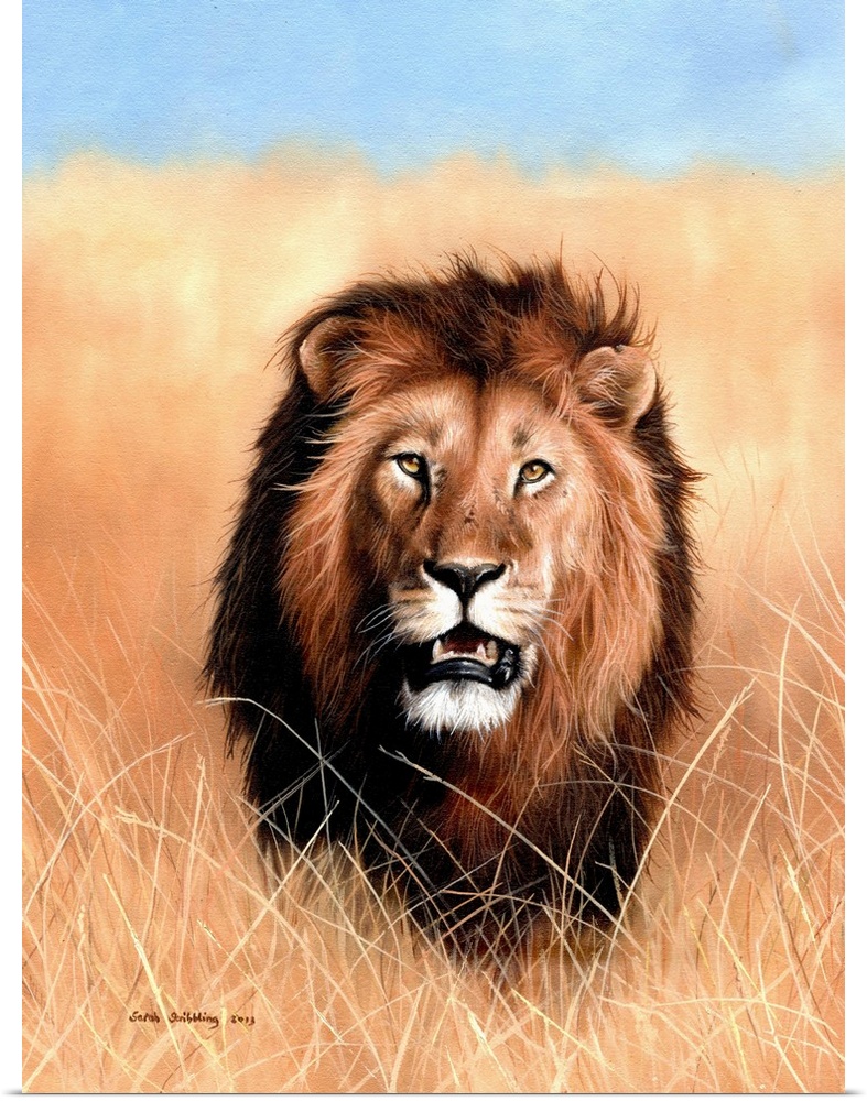 Oil painting of an African lion in the savannah.