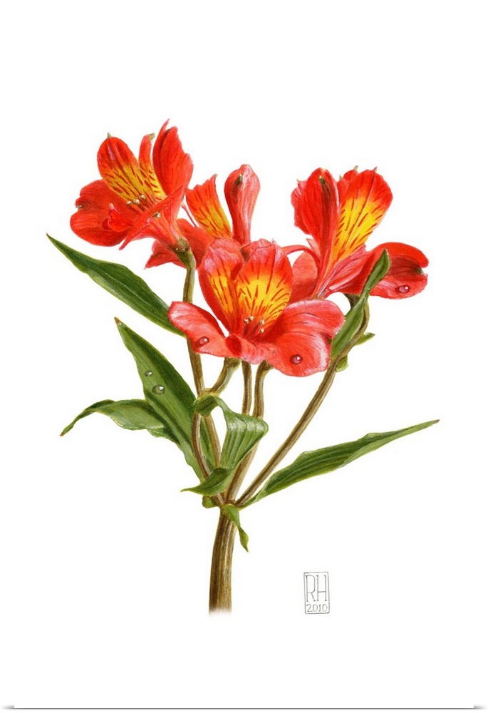 Contemporary artwork of a vibrant orange flower against a white background.