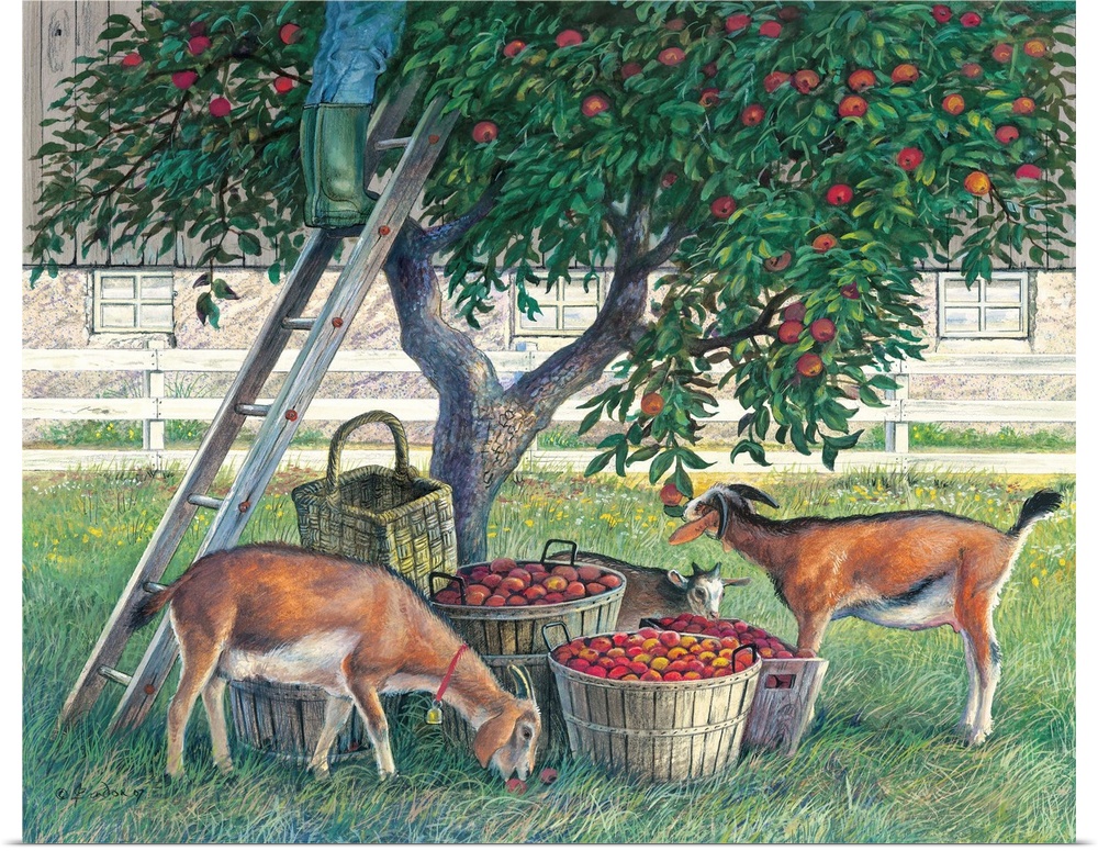 Contemporary painting of goats getting into baskets of freshly picked apples.