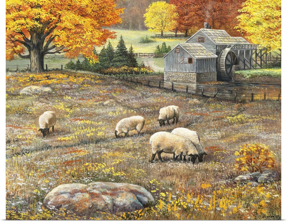 Painting of woolly sheep in a field in autumn. With a watermill in the background.