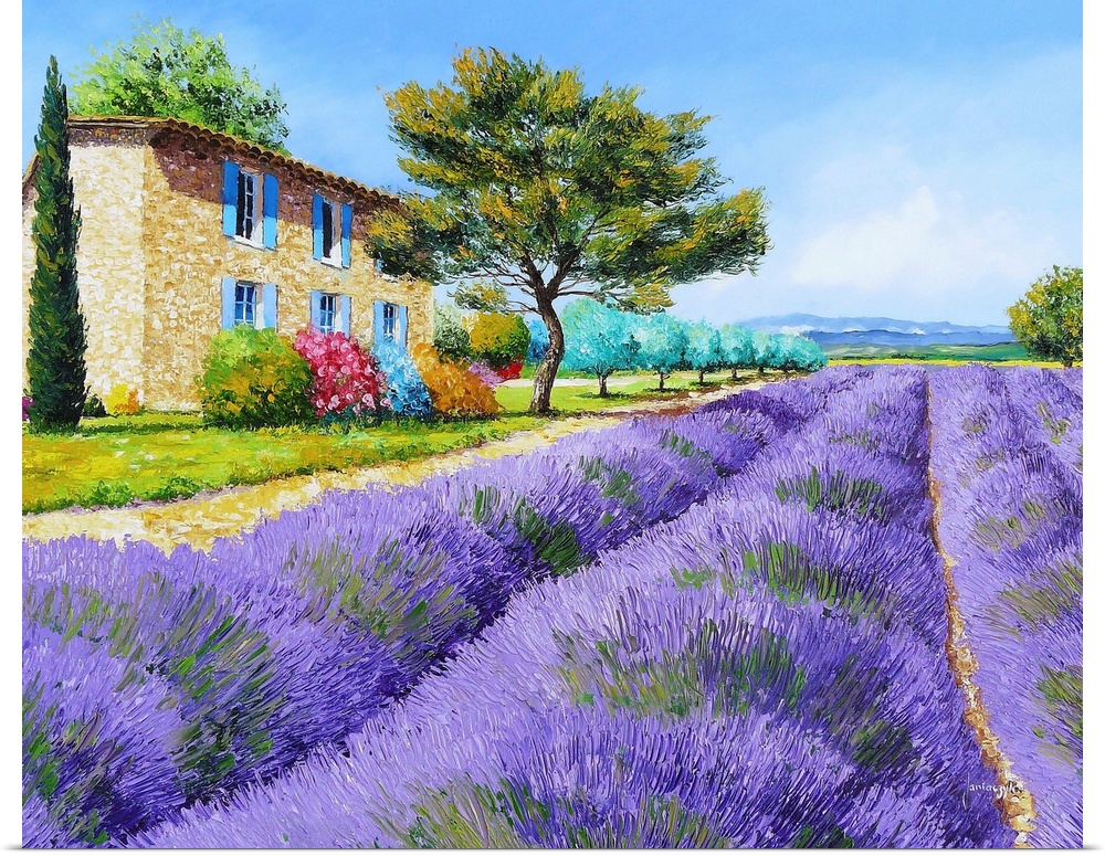 Contemporary painting of a rural field of lavender crops.