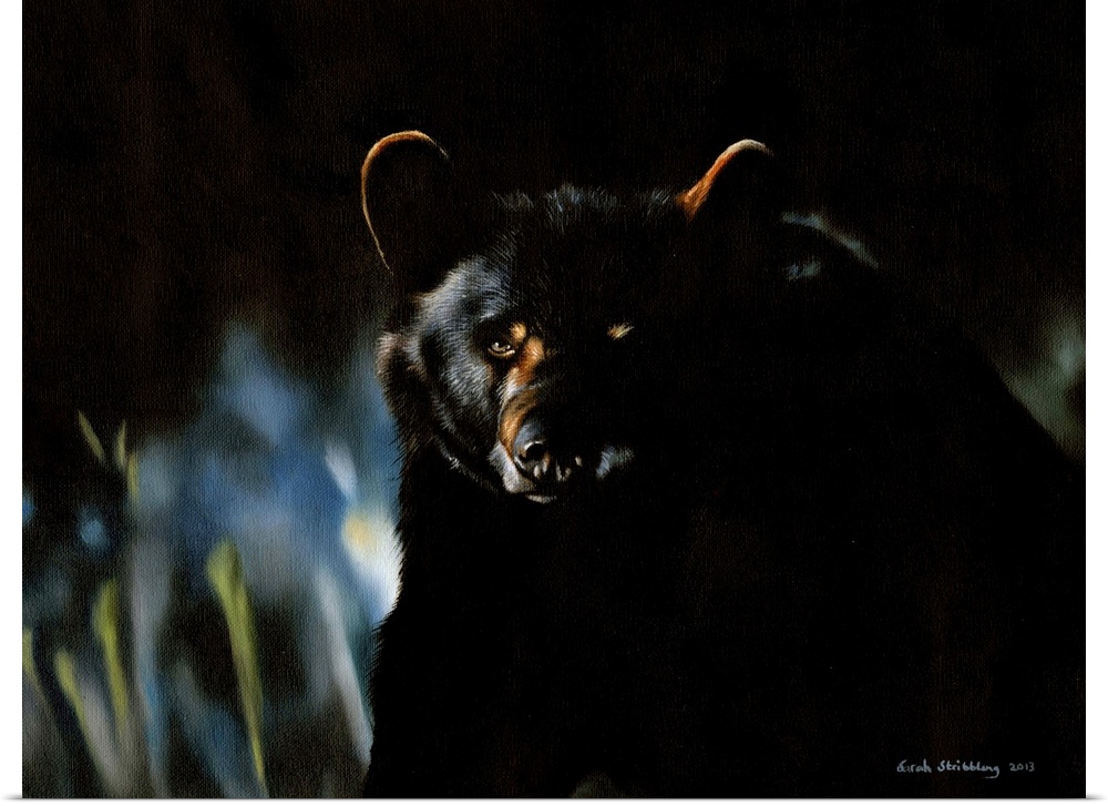 Oil painting of a Black bear.