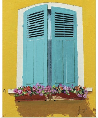 Blue Shutters And Flowerbox