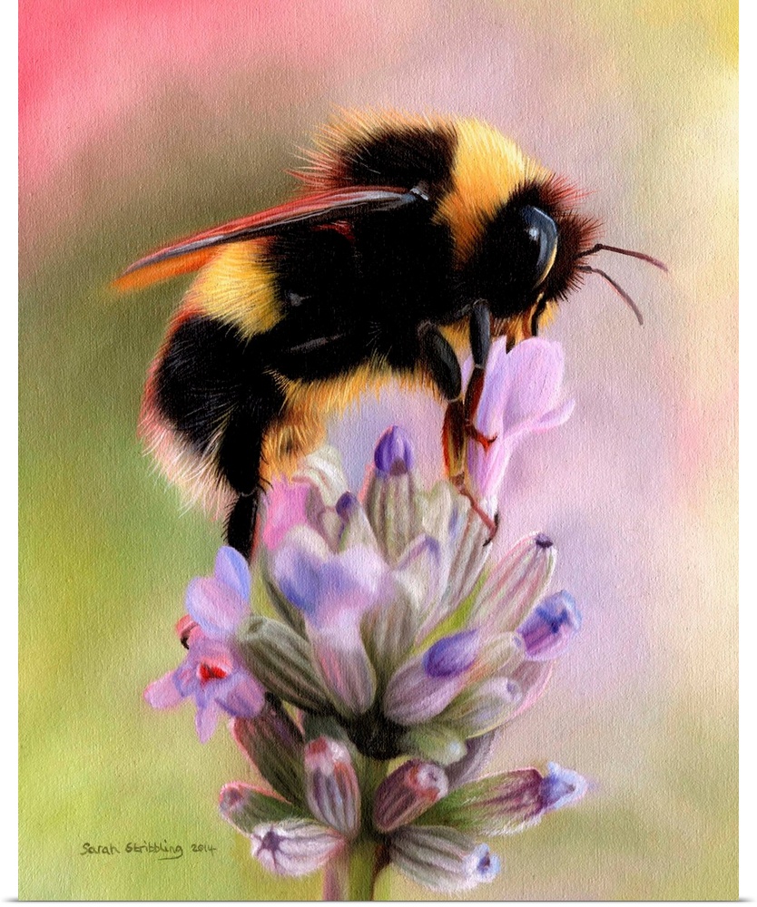 Oil painting of a Bumble bee on a lavender plant.