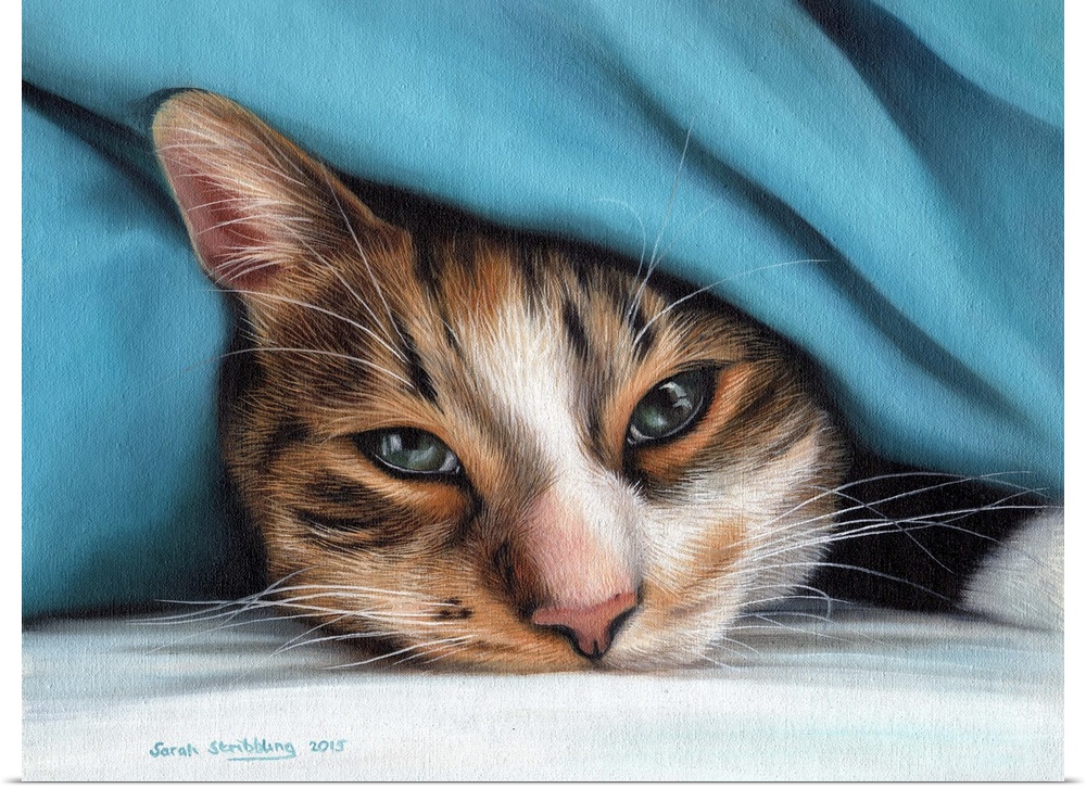 Oil painting on canvas of a domestic cat under a blanket.